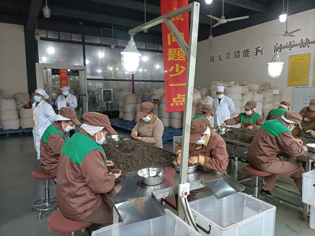精益求精&middot;鑄造品質(zhì)｜六大茶山第十四屆技術(shù)大比武圓滿(mǎn)完成